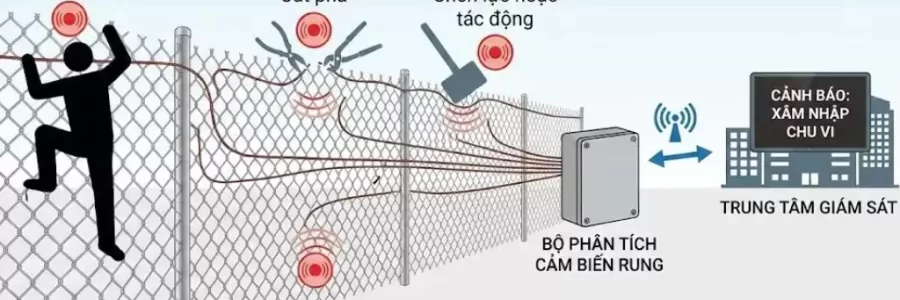 Cảm biến rung hàng rào: giải pháp phát hiện xâm nhập