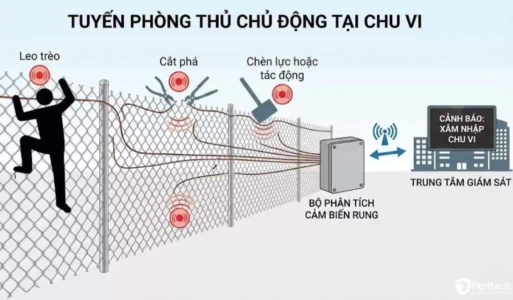 Cảm biến rung hàng rào: giải pháp phát hiện xâm nhập