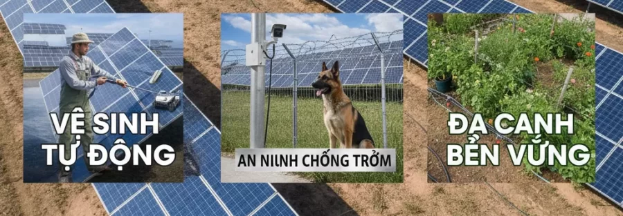Case Study: Trang trại điện mặt trời – bảo vệ tấm pin - Case Study: Trang