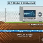 DAS chống đào hầm | Phát hiện xâm nhập ngầm chính xác